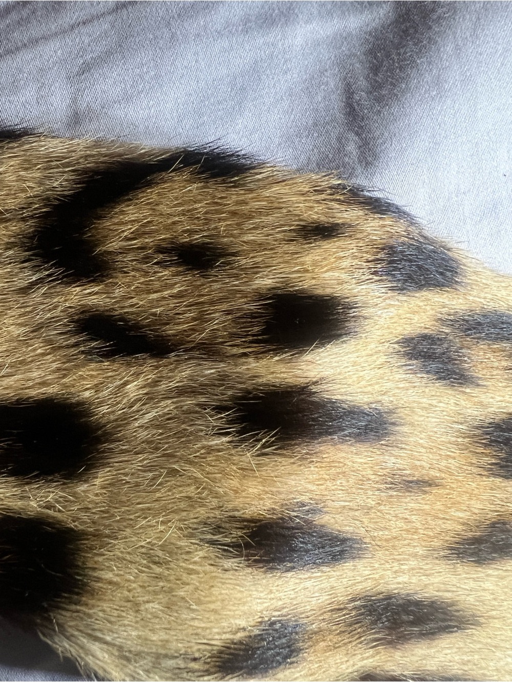 Vintage Leopard Print Genuine Fur Collar Collection - Natural Golden Brown Spots - Picture 15 of 16